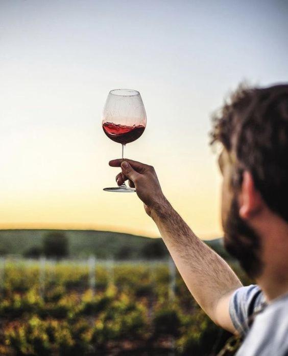 Vila Quinta Da Faisca - Agro Turismo Favaios Exteriér fotografie